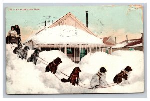 Vintage 1909 Postcard An Alaska Dog Team