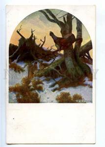 223305 Bird hunting grouse ptarmigan winter old postcard