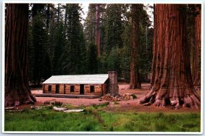 Postcard - Mariposa Grove Museum, Yosemite National Park - California