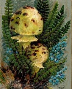 1880s Victorian Christmas Card Mushrooms Toadstools Fab! #5E