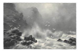 Artist Adolf Kaufmann Seascape Surf Rocks Gulls Rembrandt Gravure AS Postcard