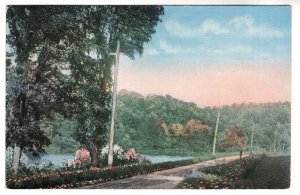 Road with Lake and Trees, United States