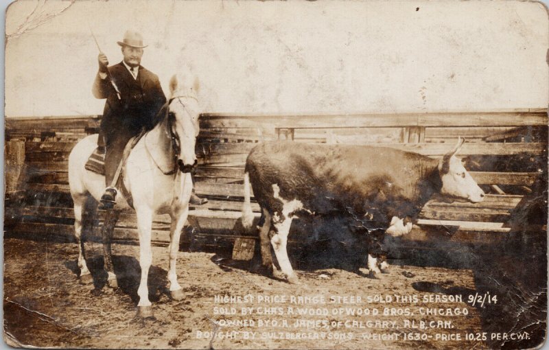 Highest Priced Steer Sold 1914 OA James of Calgary AB RPPC Postcard G8 *as is