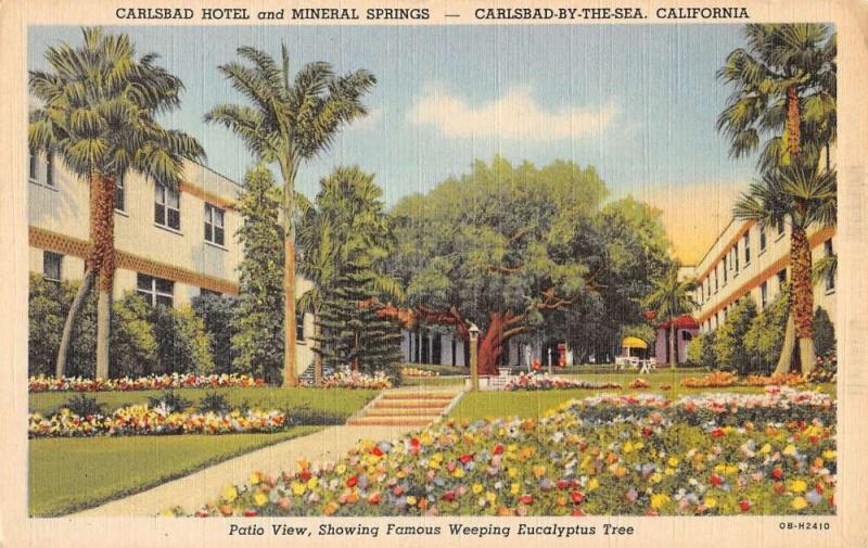 carlsbad hotel and mineral springs california L4851 antique postcard
