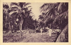 cuba, HAVANA, Cuban Landscape (1930s) Postcard