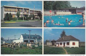 4-views,  B.C.'s Opportunity Centre,  Langley,  B.C.,  Canada,   40-60s