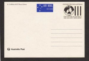 Australia Pet Bird COCKATOO Postcard Air Mail