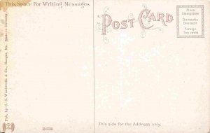 Meat Market Pickering Square Bangor Maine 1910c postcard 