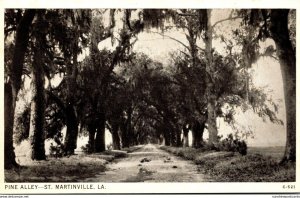 Louisiand St Martinville Pine Alley