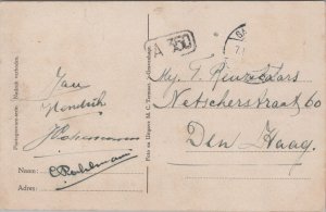 Netherlands Restaurant En Thuishuis Uddelermeer Apeldoorn Vintage Postcard 09.69