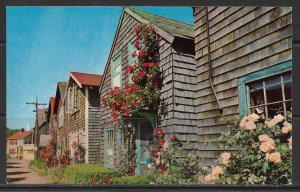 Massachusetts, Rockport - Roses On Bearskin Neck - Cape Ann - [MA-691]