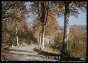 Automne en Limousin