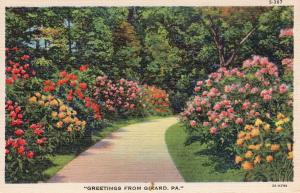US    PC1824 GREETINGS FROM GIRARD, PA FLOWERS