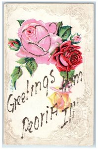 c1910 Greetings From Rose Flowers Embossed Glitter Peoria Illinois IL Postcard