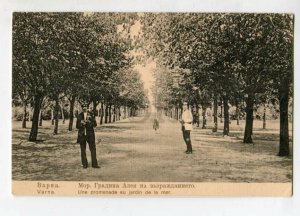 3126576 BULGARIA VARNA in city garden Vintage postcard