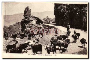 Old Postcard Piana Creeks In The Goats