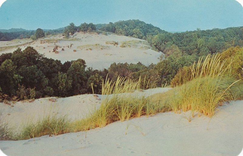 Sand Dunes along Lake Michigan