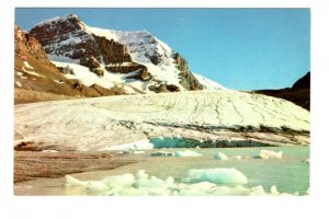 Columbia Ice Fields