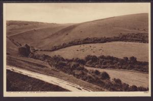 The Dyke Hills,Near Brighton,England,UK Postcard