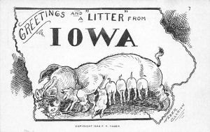 Greetings From Pigs Greetings from, Iowa  