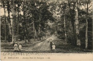 CPA Bois le Roi Ancienne Route de Bourgogne FRANCE (1101003)