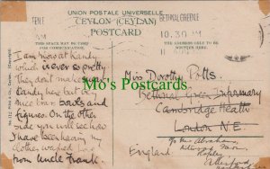 Genealogy Postcard - Potts,Bethnal Green Infirmary,Cambridge Heath,London GL1087