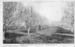 H18/ Roswell New Mexico Postcard 1907 Apple Blossoms Alfalfa