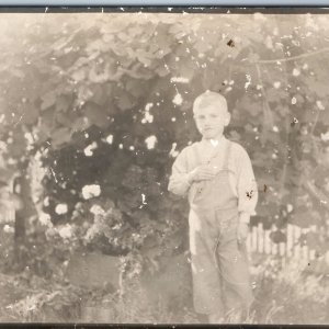 c1910s Handsome Young Man in Overalls RPPC Posing w/ Flower Hand Over Heart A213