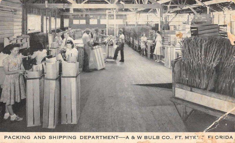 Fort Myers Florida A and W Bulb Co Packing Department Vintage Postcard AA22933