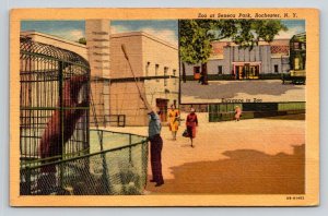 1949  Zoo at Seneca Park  Rochester  New York    Postcard