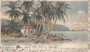 MID WINTER SCENE IN PUERTO RICO AMERICAN JOURNAL POSTCARD 1904