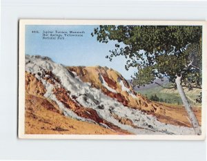 Postcard Jupiter Terrace, Mammoth Hot Springs, Yellowstone National Park, W. Y.