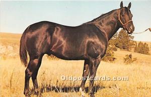 Moolah Bee Sweet Franktown, Colorado, CO, USA Horse Racing Unused 