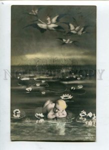 3115091 MULTIPLE BABIES Kid in Bog STORK Vintage PHOTO Collage