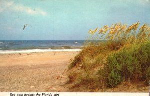 Postcard Sea Oats Against The Florida Surf Beautiful Beach Ocean Breeze Florida