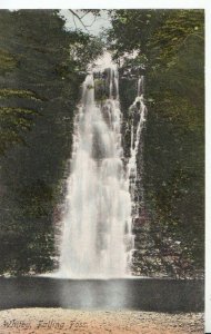 Yorkshire Postcard - Whitby Falling Foss - Ref 2216A