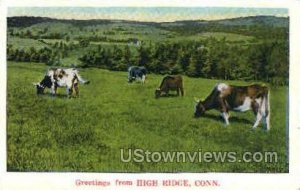 High Ridge - Connecticut CT Postcard