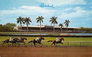 A Thrilling Race at Hialeah Racecourse Miami, Florida  