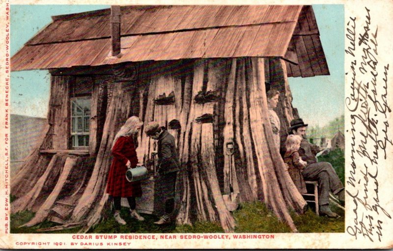 Washington Cedar Stump Residence Near Sedro-Wooley 1905