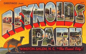 J92/ Reynolds Park North Carolina Postcard Linen Large Letter Greetings 366