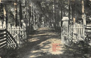 Nashville Tennessee 1910 Postcard Avenue Of Cedars Andrew Jackson Hermitage 