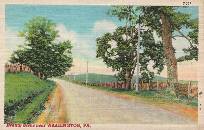 H-047 - Greetings From Washington, PA Travel Souvenir Linen Picture Postcard.