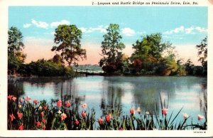 Pennsylvania Erie Lagoon and Rustic Bridge On Peninsula Drive Curteich