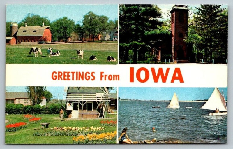 Large Letter  Greetings From  Iowa   Postcard