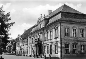 BG16342 zerbst schlossfreiheit  germany CPSM 14.5x9cm