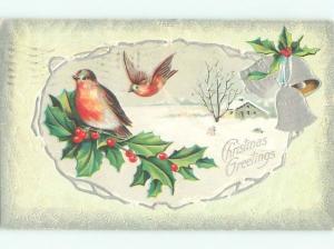 Divided-Back CHRISTMAS BIRDS SCENE Pretty Postcard W8527