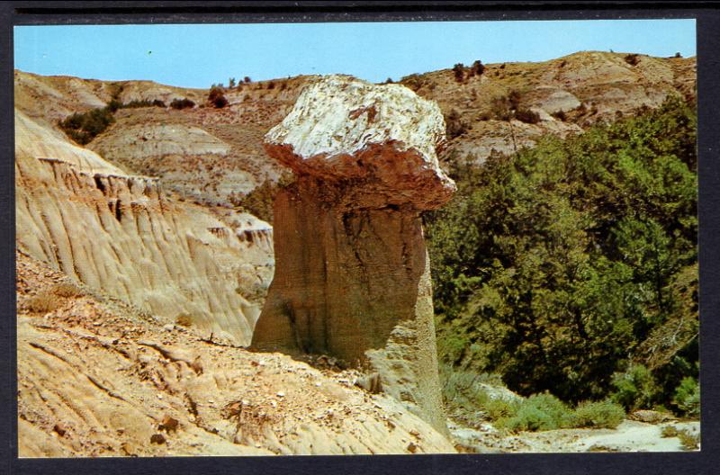 Balanced Stump,Petrified Forest,Cedar Canyon,ND Badlands BIN