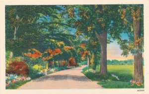 Rural Highway - Generic Postcard View - Waiting for Location Imprint - Linen