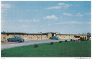 Town and Country Court, Classic Cars, U.S. Highway 11, North of SYRACUSE, New...