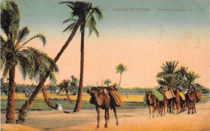 Lot131 africa small caravan camel types folklore